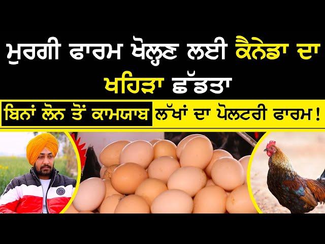 poultery king patiala - how to start poultry farming | ਬਿਨਾਂ Loan ਤੋਂ ਕਾਮਯਾਬ ਲੱਖਾਂ ਦਾ poultery Farm