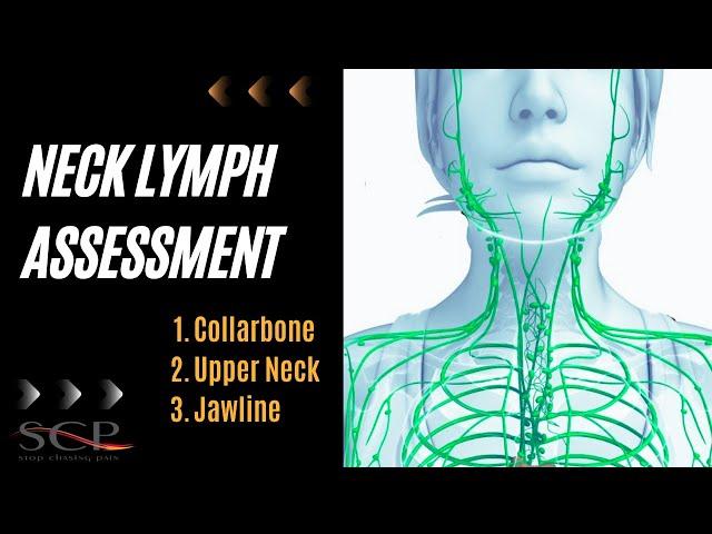 Neck Lymph Assessment