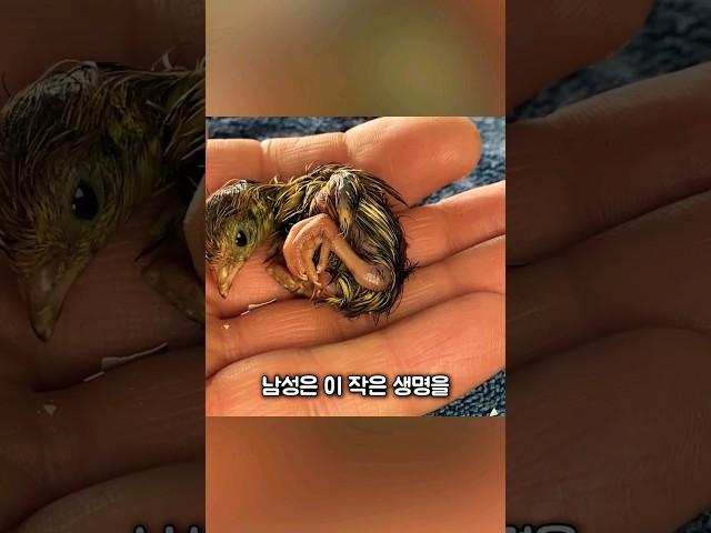 메추리알을 사와서 맛있게 먹으려는데....!