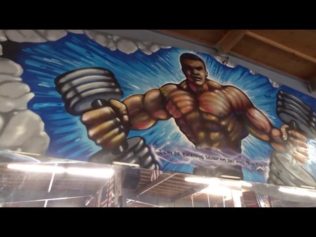 Inspired Aesthetix - Chest & Back at Metroflex LBC