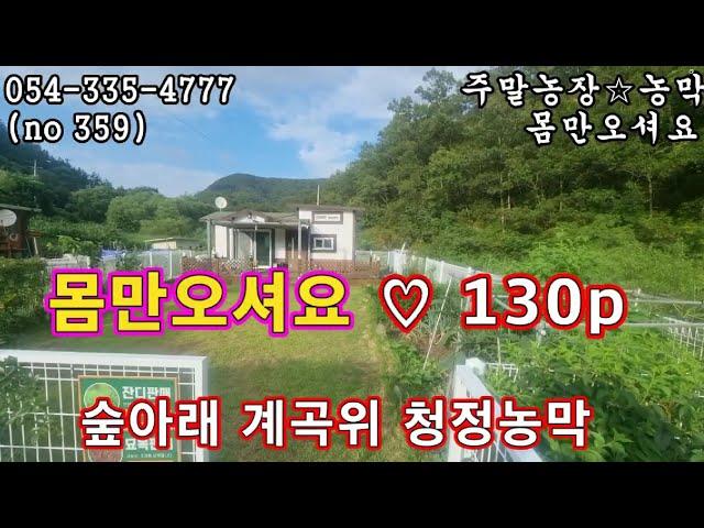 (NO 359) 다갖춘 예쁜 농막+밭  청정계곡 & 저수지 포장길 인접 영천땅 영천부동산 영천토지 영천급매 영천농막 영천촌집