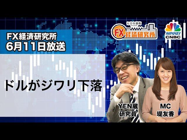 6月11日放送 『FX経済研究所』（ドルがジワリ下落）日経CNBC