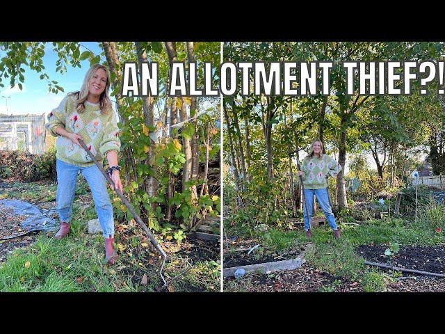 COLLECTING AUTUMN LEAVES AND AN ALLOTMENT THIEF! (MAYBE) / ALLOTMENTS UK