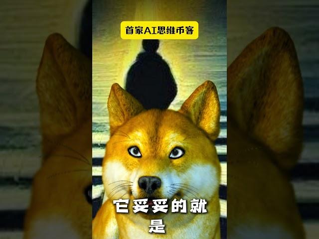 六年定投试验：哪天买比特币最赚？我算清楚了#加密货币#比特币