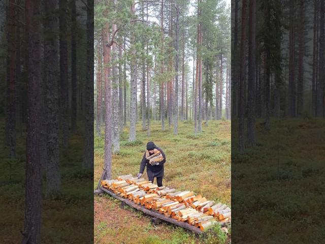 Firewood! #northernwoods #finland #freshair #nordic #cabinlife #cabininthewoods