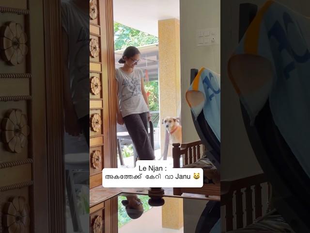 അമ്മ എന്നാ പോരാളിയുള്ളപ്പോൾ ഞാൻ വീട്ടിലേക്കില്ല. സ്വന്തം ജാനു!