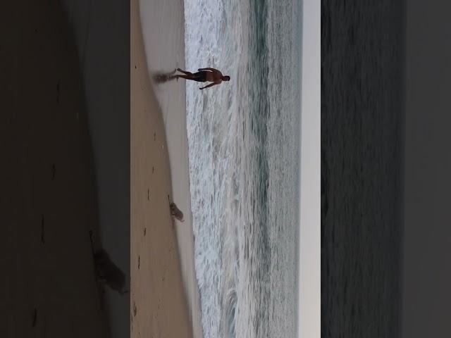 Just watching the world around me #mexico #family #romanticizeyourlife #surfing #dog #ocean #beach