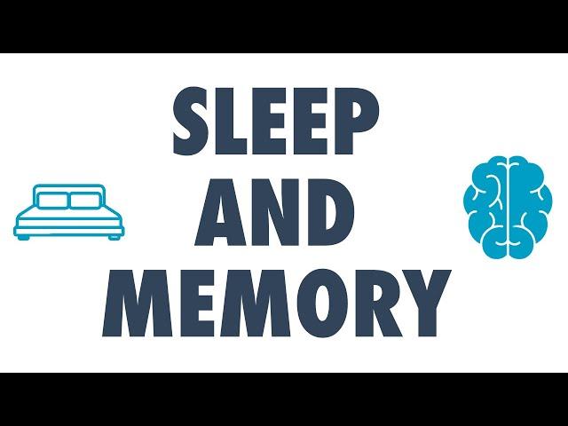 Why sleep is important for your memory