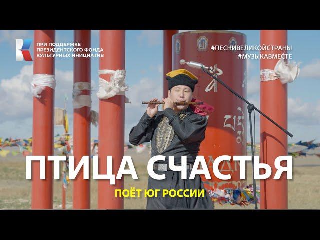 "Птица счастья" Поёт Юг России!  #музыкавместе #песнивеликойстраны