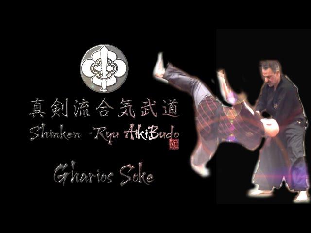 Shinken-Ryu Aiki-Budo lecture/demonstration Gharios El Chemor Soke