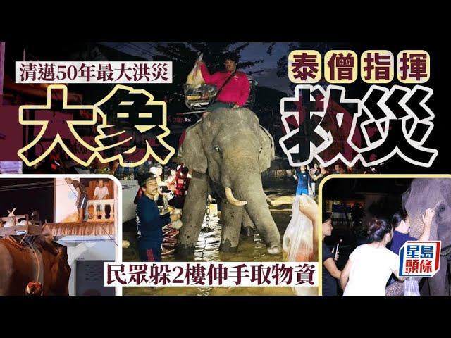 清邁洪災︱泰國僧侶指揮大象救災 民眾躲2樓伸手取物資｜星島頭條新聞｜泰國｜清邁｜水災｜大象｜僧人｜救災