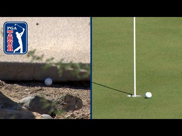 Sungjae Im gets ruling, nearly holes INCREDIBLE shot from rocks