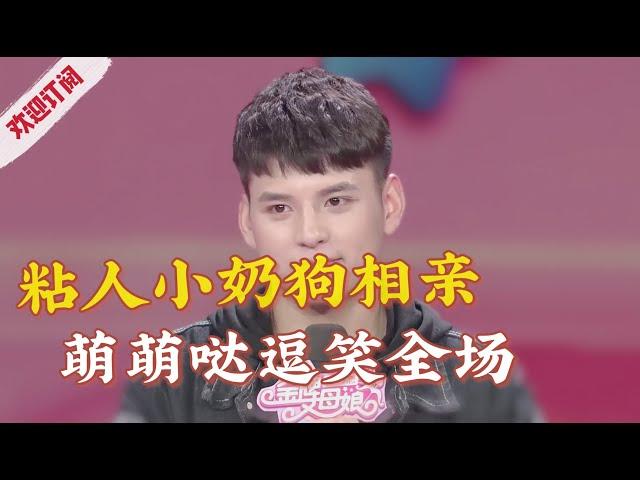 男嘉宾被称“粘人小奶狗”,萌萌哒对话逗笑全场!【金牌丈母娘】