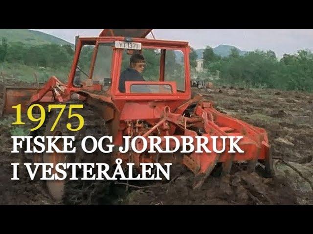 Fiske og jordbruk - er det fremtiden for Vesterålen? (1975)