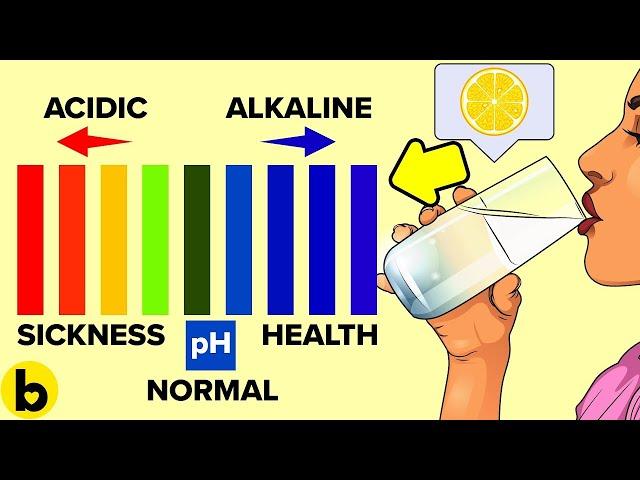 How To Maintain The pH Balance In Your Body