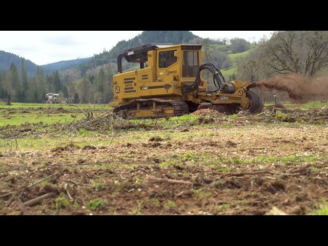 Brinks Land Improvement Grinding Oak Stumps in 4k