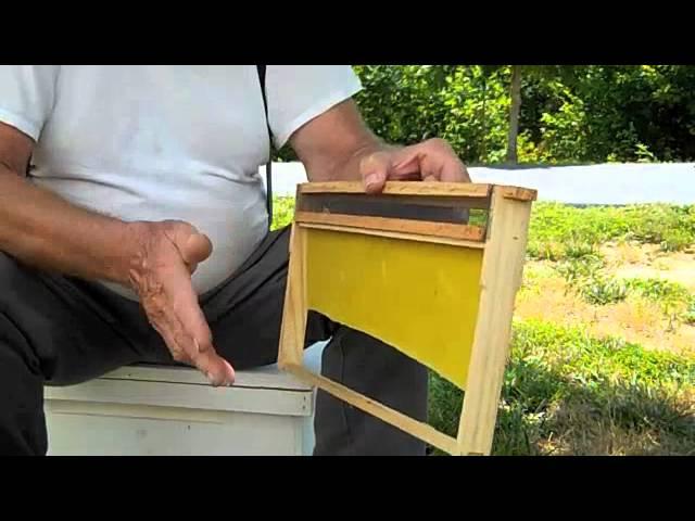 Honey Bee Mite Treater Frame - FatBeeMan