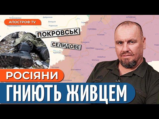 ️НАСТУП ТРИВАЄ: важкі бої у Селидовому / Росіяни жаліються на жахливі умови // Тимочко