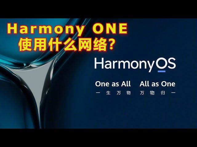 Harmony ONE 使用什么网络？