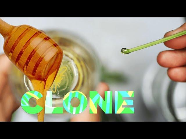 Unlocking the Sweet Secret: Cloning Cannabis Plants with Raw Honey - Clone to Sex