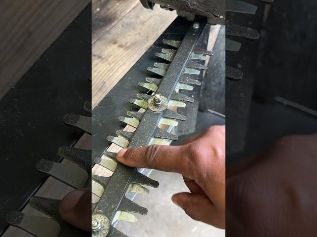 Sharpening Hedge Trimmers