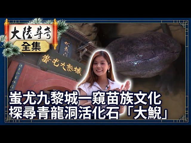 《完整版》蚩尤九黎城一窺苗族文化 探尋青龍洞活化石「大鯢」【@ctvchinatvEP1839】