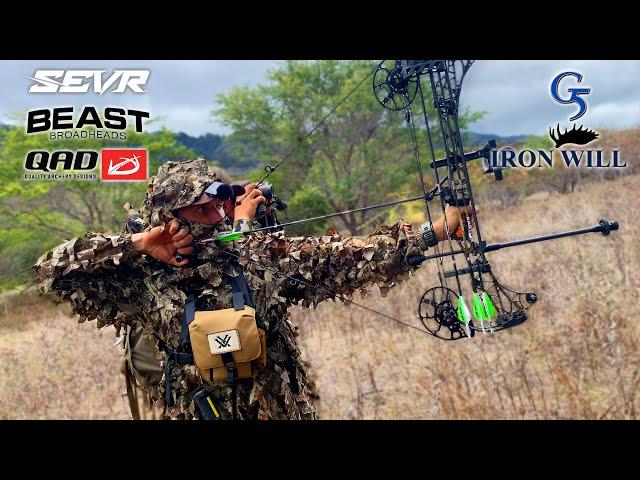 I Hunted With The 6 BEST BROADHEADS... This is what I found (Beast, Sevr, G5, QAD, Iron Will)