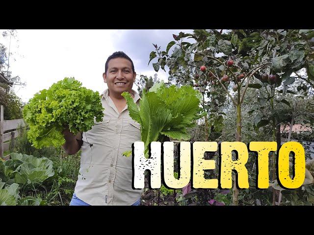 Les muestro mi HUERTO I Doctv Ecuador