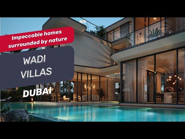 Luxury Wadi Villas complex in Dubai