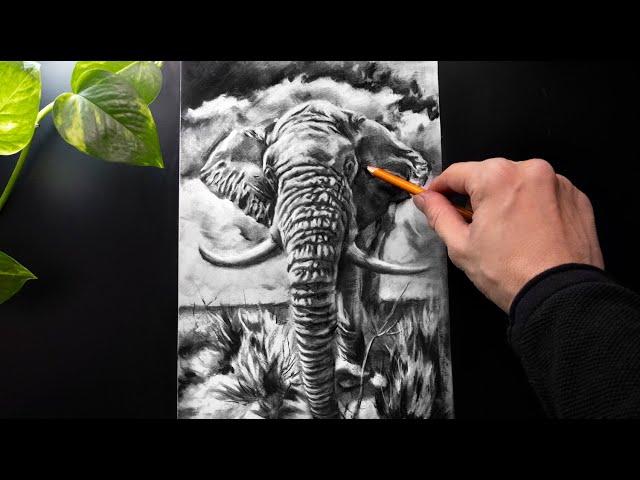 ASMR Drawing an Elephant with Charcoal - No talking