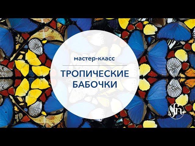 Дизайн ногтей бабочки:Ольга Ерохина [Fantasy Nails]