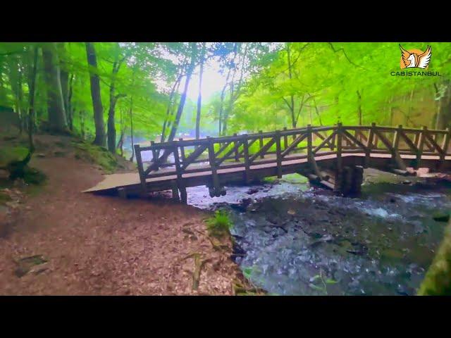 Enchanting Beauty of Yedigoller (Seven Lakes) in Bolu, Turkey- 2023