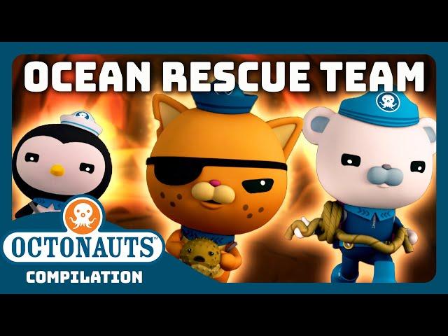 @Octonauts - ‍️ ANIMAL Ocean Rescue Team GO! ️ | 3 Hours+ Full Episodes Marathon