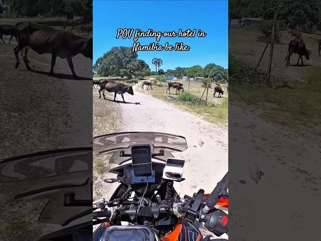 the distance felt like a 1k km  #namibia #africa #everyone #motovlog #adventure #ktm #motovlog