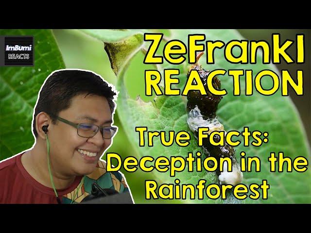 True Facts: Deception In The Rainforest | zefrank1 | ImBumi Reaction