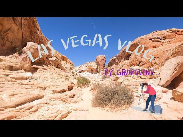 Travel Vlog) Las Vegas 2nd Day: best hiking spot in Vegas, Delicious dim sum, long wait AYCE sushi