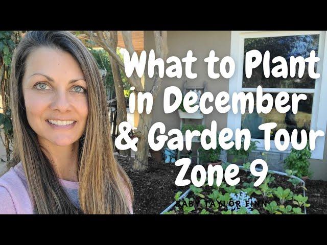 What to Plant in December & Garden Tour Zone 9