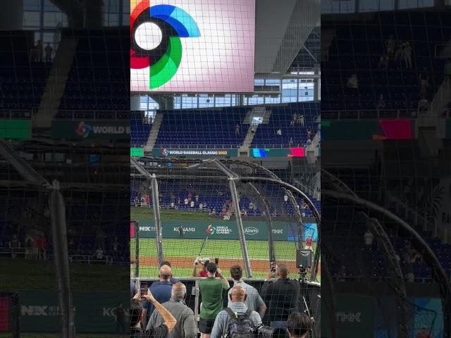 Shohei Ohtani BP WBC2023 Semifinal #worldbaseballclassic2023