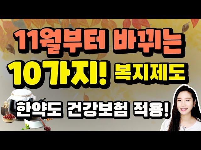 11월부터 새롭게 바뀌는 정부 정책! 알면 유용한 10가지 정리했습니다!