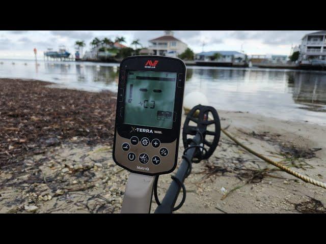 TREASURE HUNTING a FORGOTTEN Beach! | Minelab Metal Detector [LIVE!]