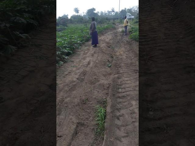 Farm #music #farm #sound #sad #shorts #short #shortvideo #viralshort #viralvideo