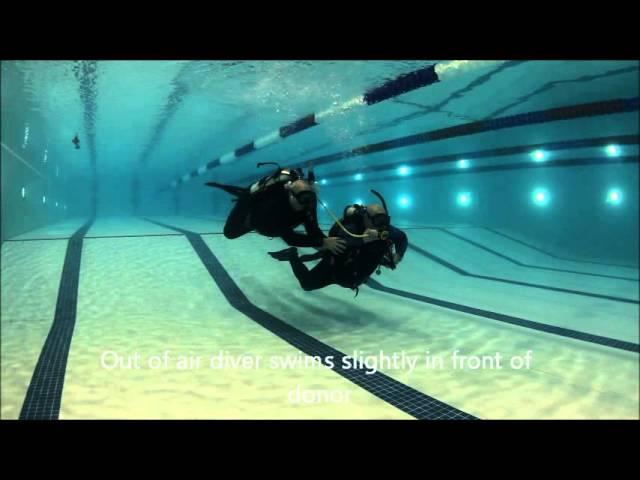 Ocean Quest Dive Centre - How to Perform an Alternate Air Source Stationary and Ascent