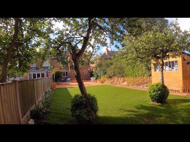 Time Lapse of New Lawn Growing from Seed