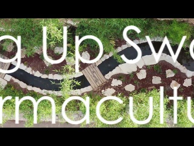 How to use swales connected to an artificial pond in permaculture | Building a pond and swales