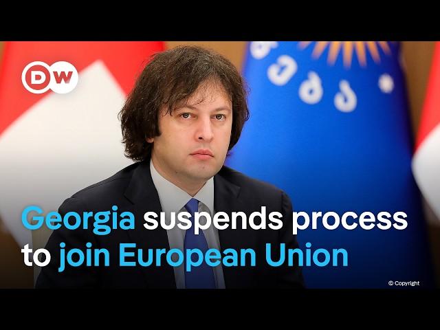 Georgia suspends application to apply to join EU as lawmakers claim election was rigged | DW News