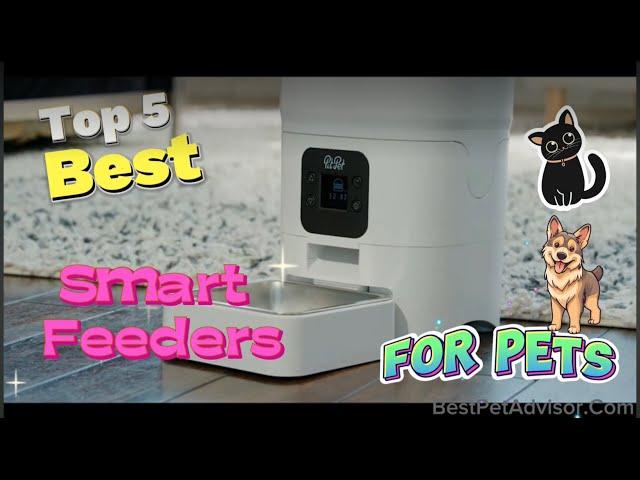 Top 5 Smart Feeders for Pets in 2024