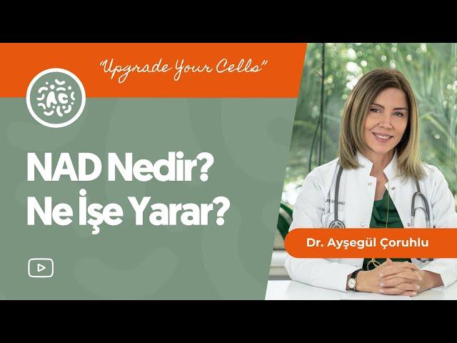 The secret of youth! What is NAD+? What Does It Do?