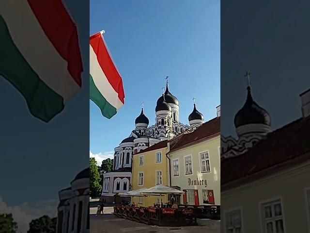 Alexander Nevsky Cathedral | PakistanTravelVlogger | NaeemTravelVibes | ExploreEurope | Estonia