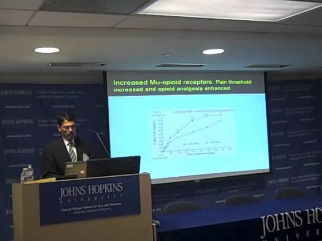 Neuropathic Pain: Bridging Bedside to Bench, Part III