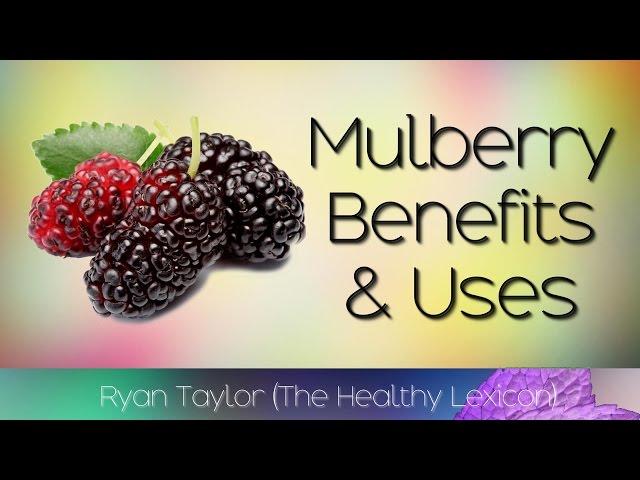 Mulberries: Benefits & Uses